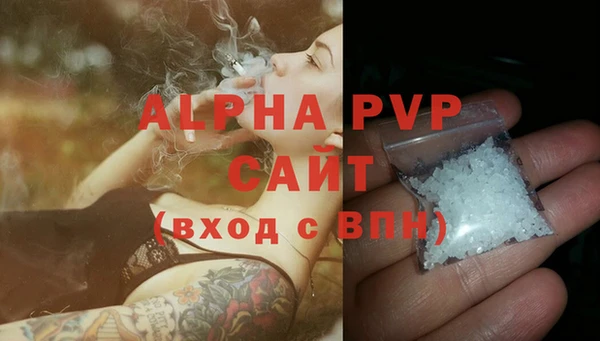 PSILOCYBIN Волосово