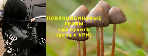 PSILOCYBIN Волосово