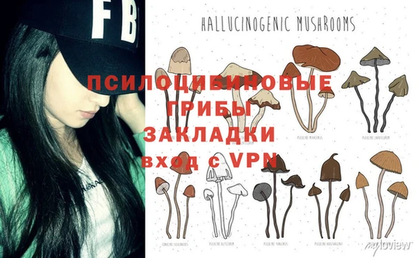 PSILOCYBIN Волосово