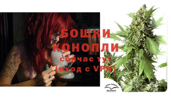 PSILOCYBIN Волосово