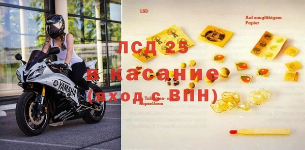 PSILOCYBIN Волосово