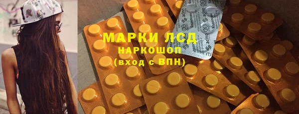PSILOCYBIN Волосово